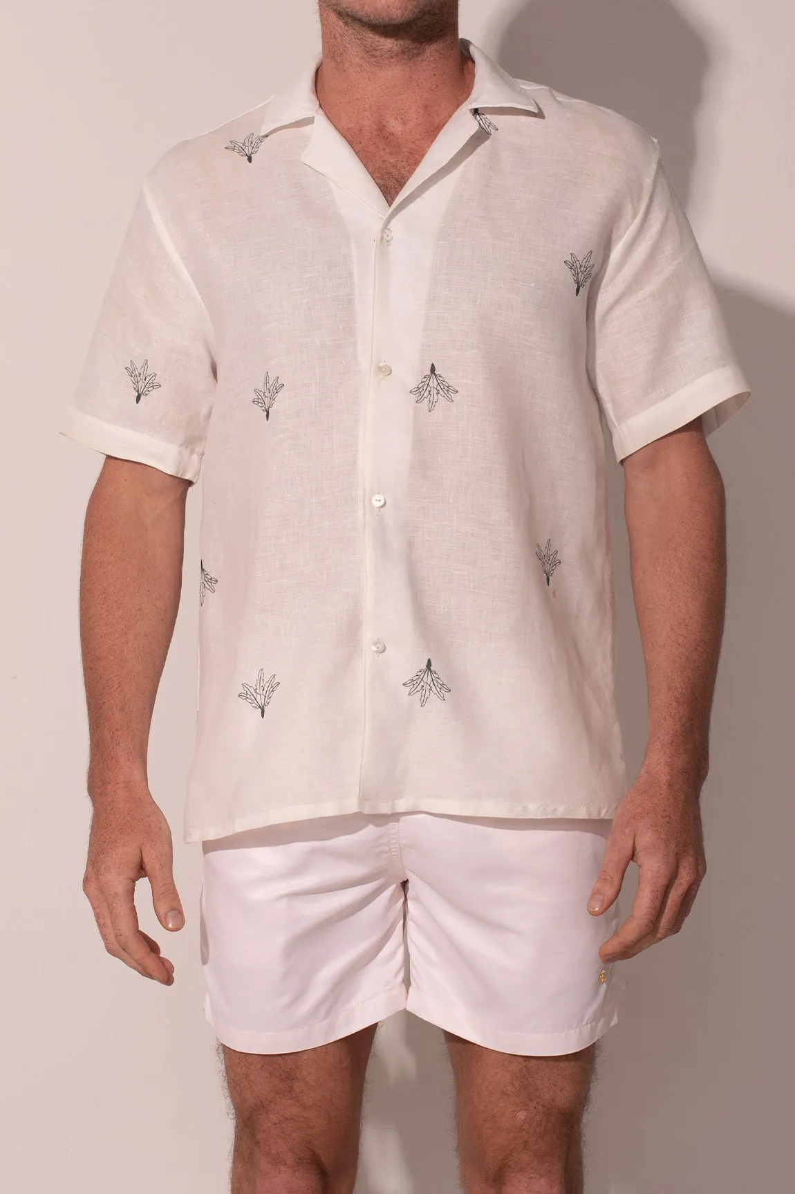 Palms for Dessert Men Linen Shirt